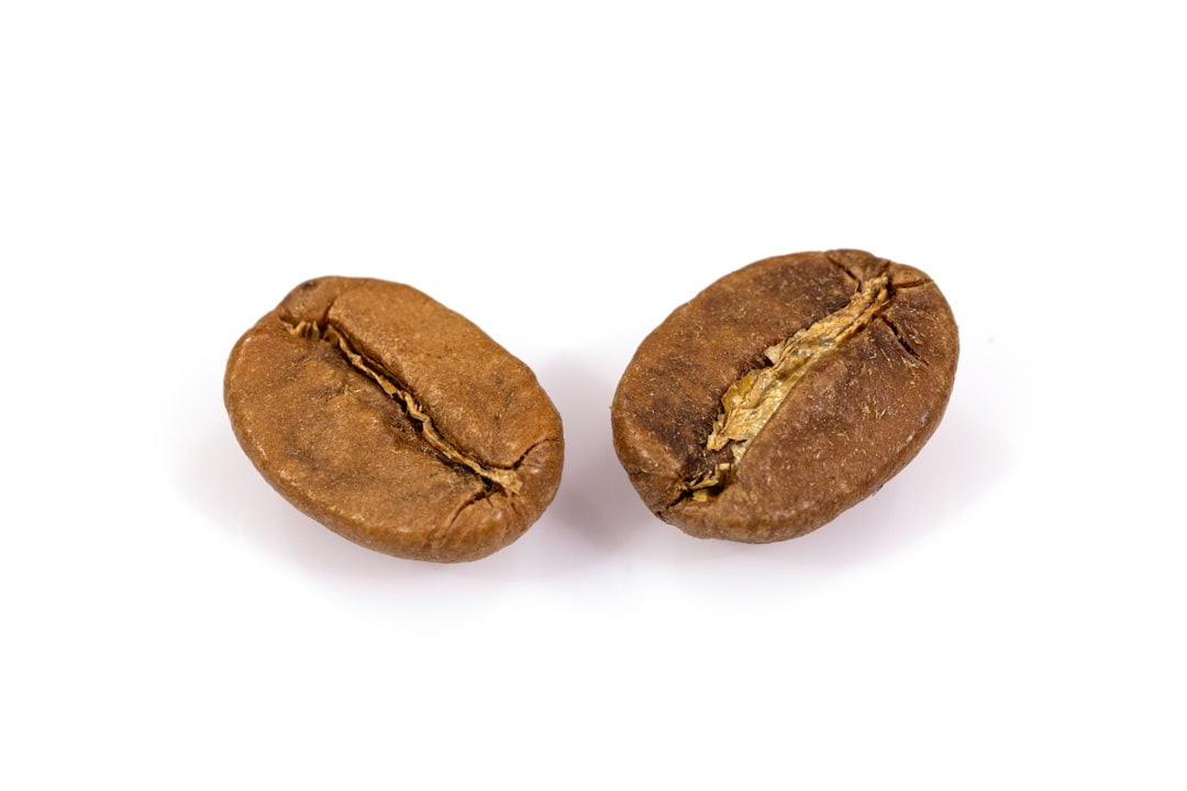 Seed Soaking: Tips For Soaking Seeds Before Planting