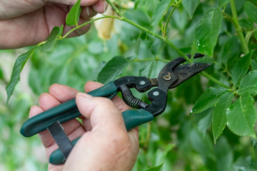 Pruning shears