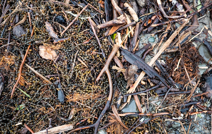 Cedar mulch