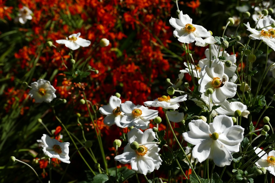 Photo Vibrant blooms