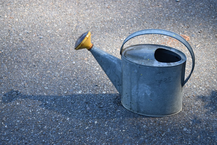 Photo Watering can