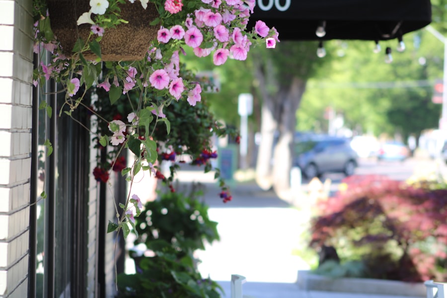Photo Vibrant blooms