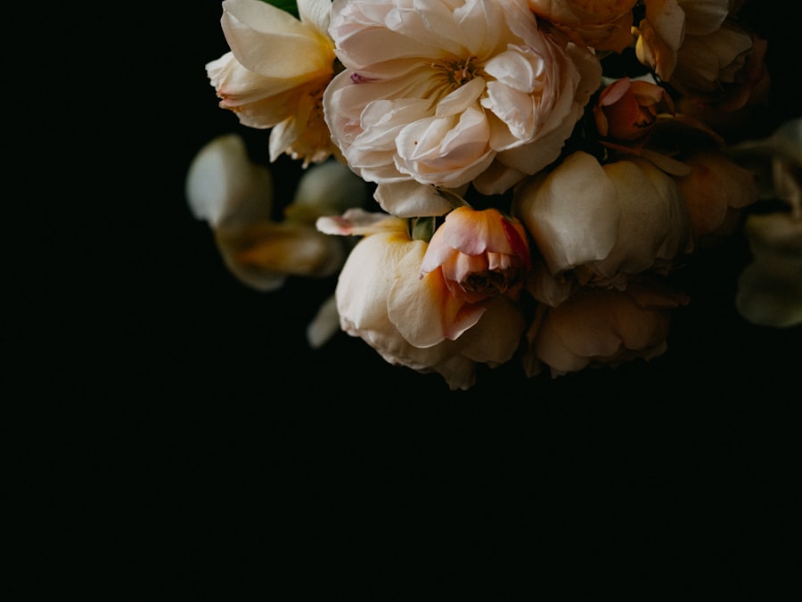 Photo Peach roses