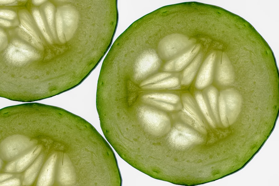 Photo Fresh cucumber