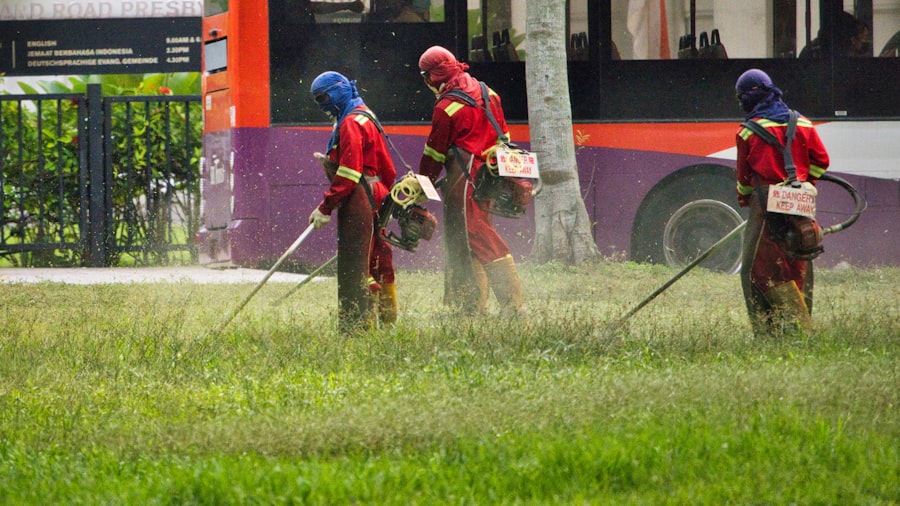 Photo Spraying plants