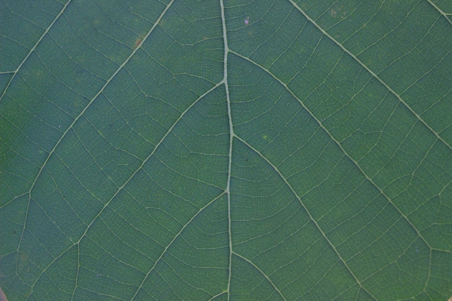 Photo Planting chart